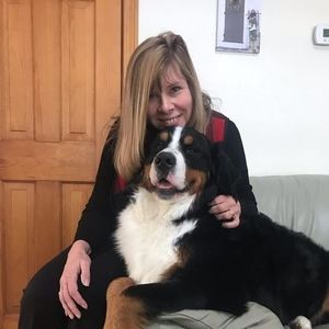 Meet your Posher, Sue